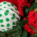 Todo lo que necesitas para vivir la Feria sin preocupaciones está en Plasticosur