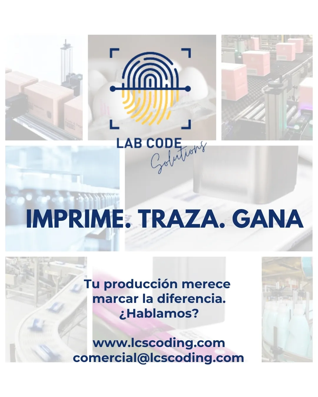Imagen del autor