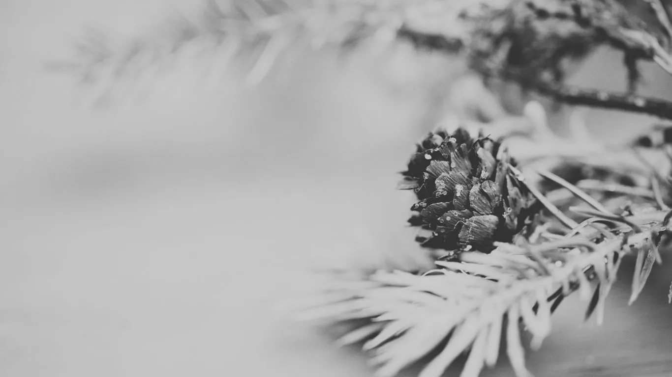 El turismo de invierno en Sevilla y Málaga