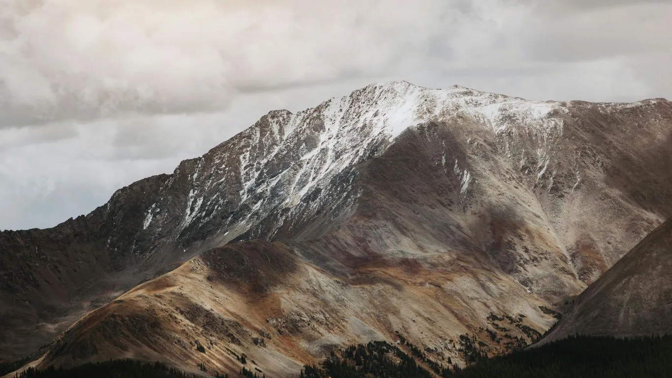 El CO₂ biogénico se consolida como nuevo nicho de inversión en la transición energética europea