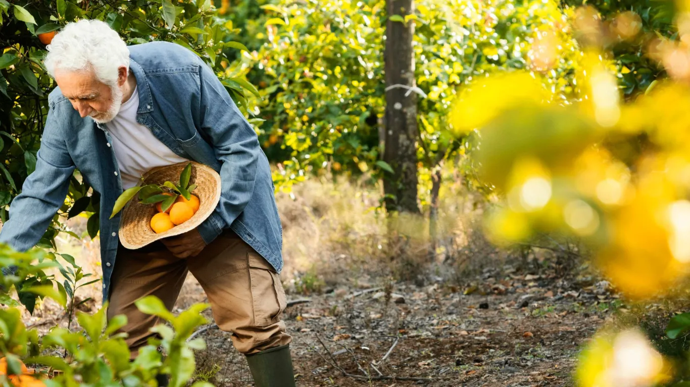 El 37,6% del empleo agroalimentario en España supera los 50 años, según el Informe MESIAS