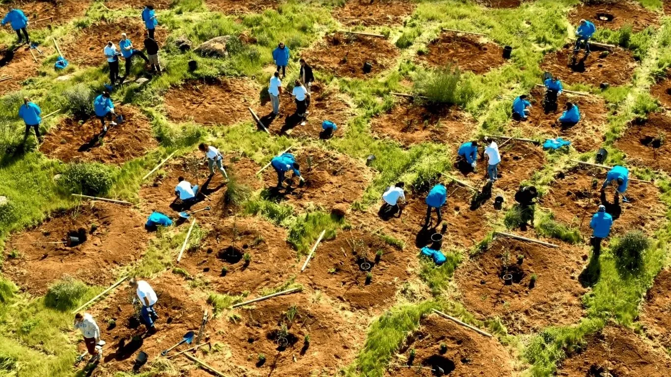 Suntory Beverage & Food Spain devuelve a la naturaleza el equivalente al 20% del consumo anual de agua de su planta de Toledo
